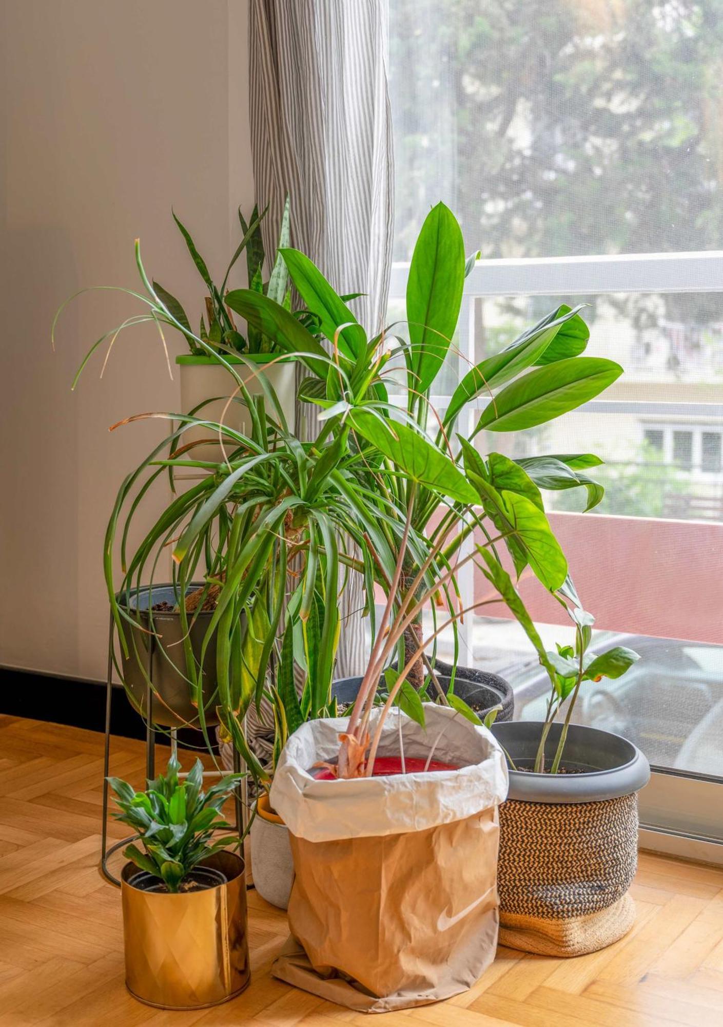 Ferienwohnung O&O Group Stylish Jungle Retreat Kolonaki Center Athen Exterior foto